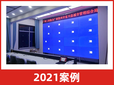 2021案例