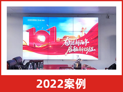 2022案例