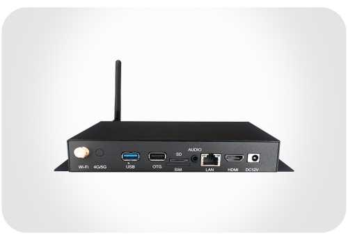 Smart terminal playback box